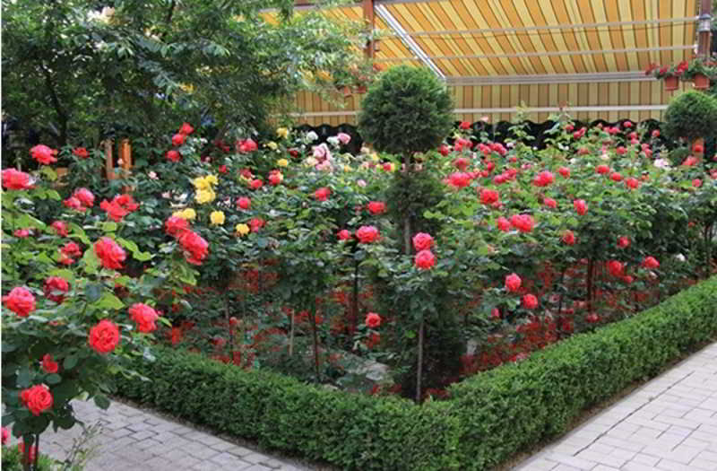 Marshal Hotel Букурещ Екстериор снимка